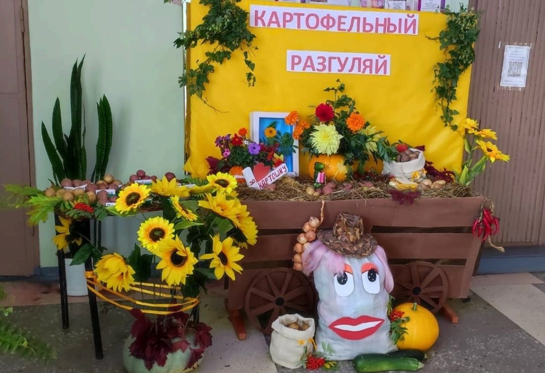 Подробнее о статье «Картофельный разгуляй»